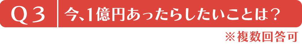 Q3.今、1億円あったらしたいことは？